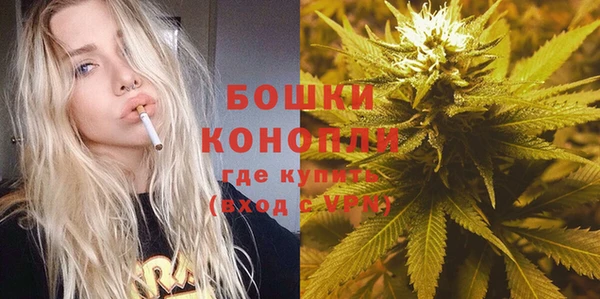 соль ск Арсеньев