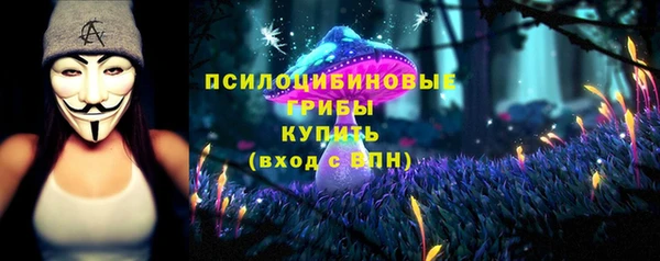 соль ск Арсеньев